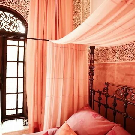 Riad Enija-2